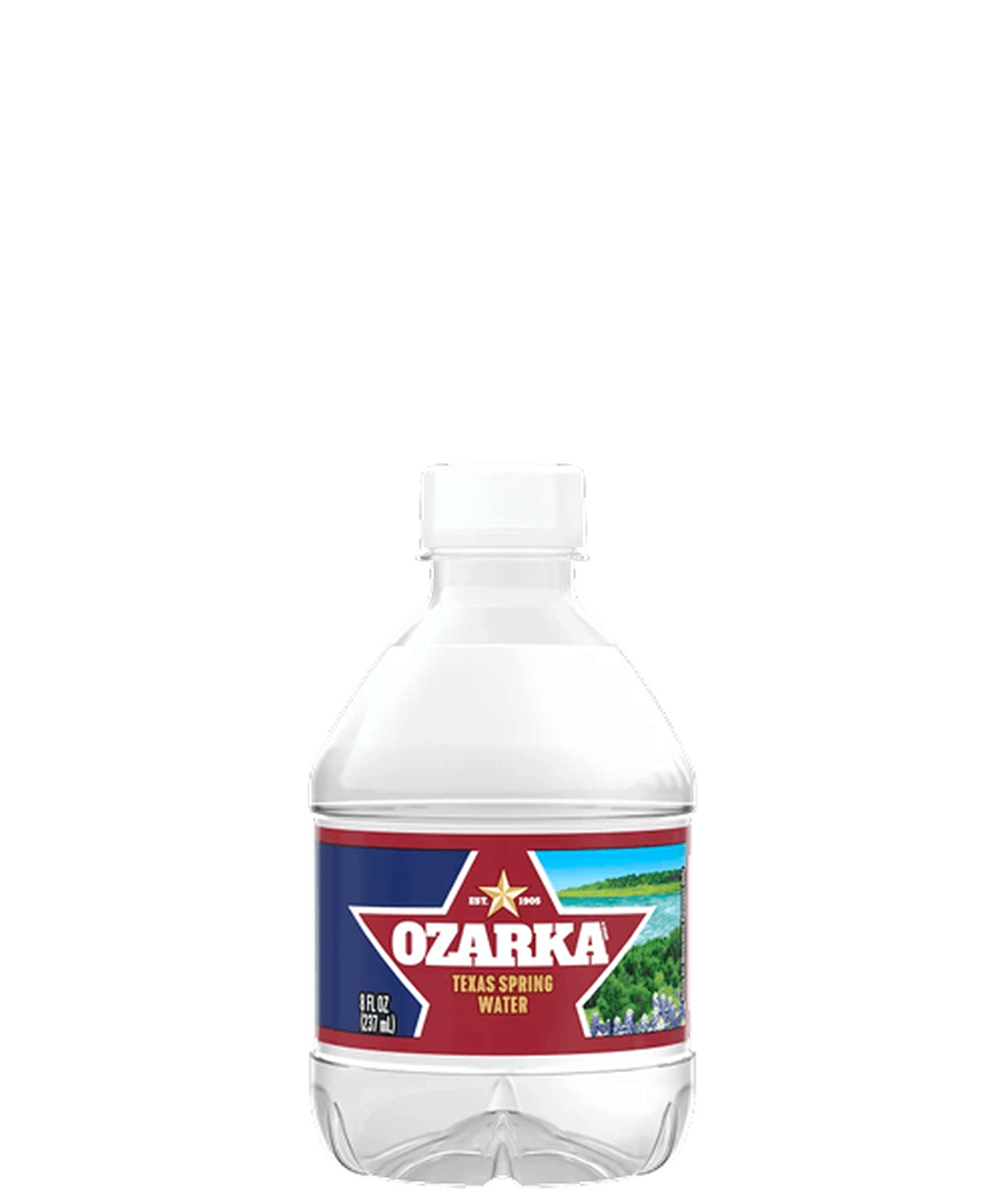 8 fl oz Bottled Water, Single