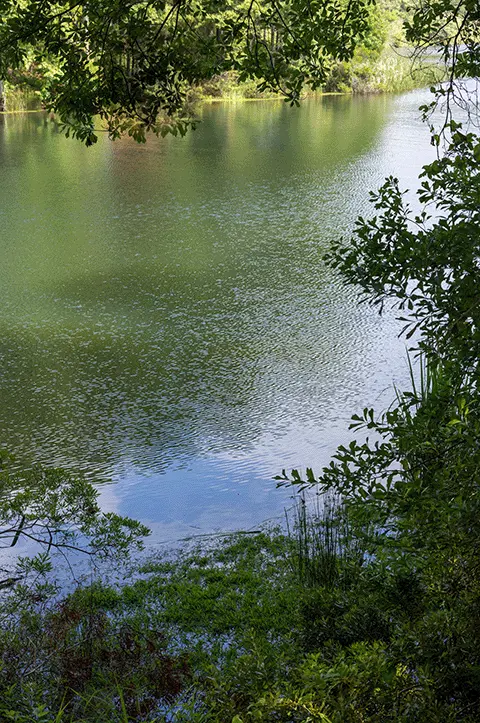 Ozarka stream mobile