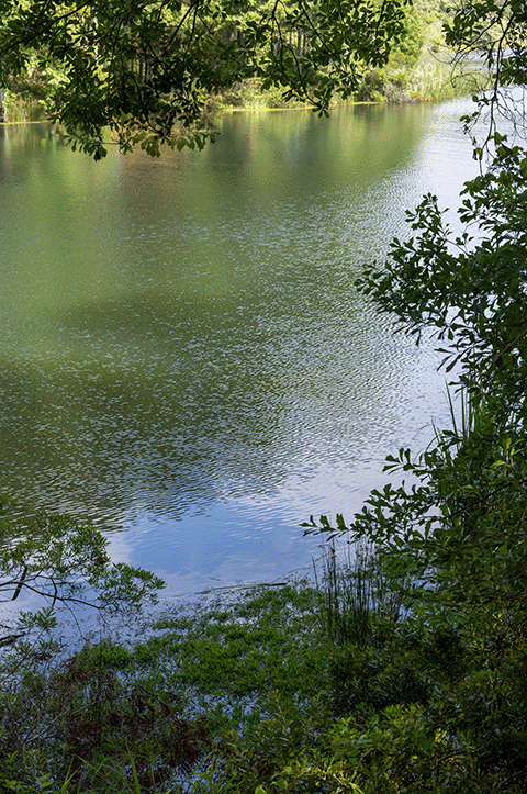 Ozarka stream