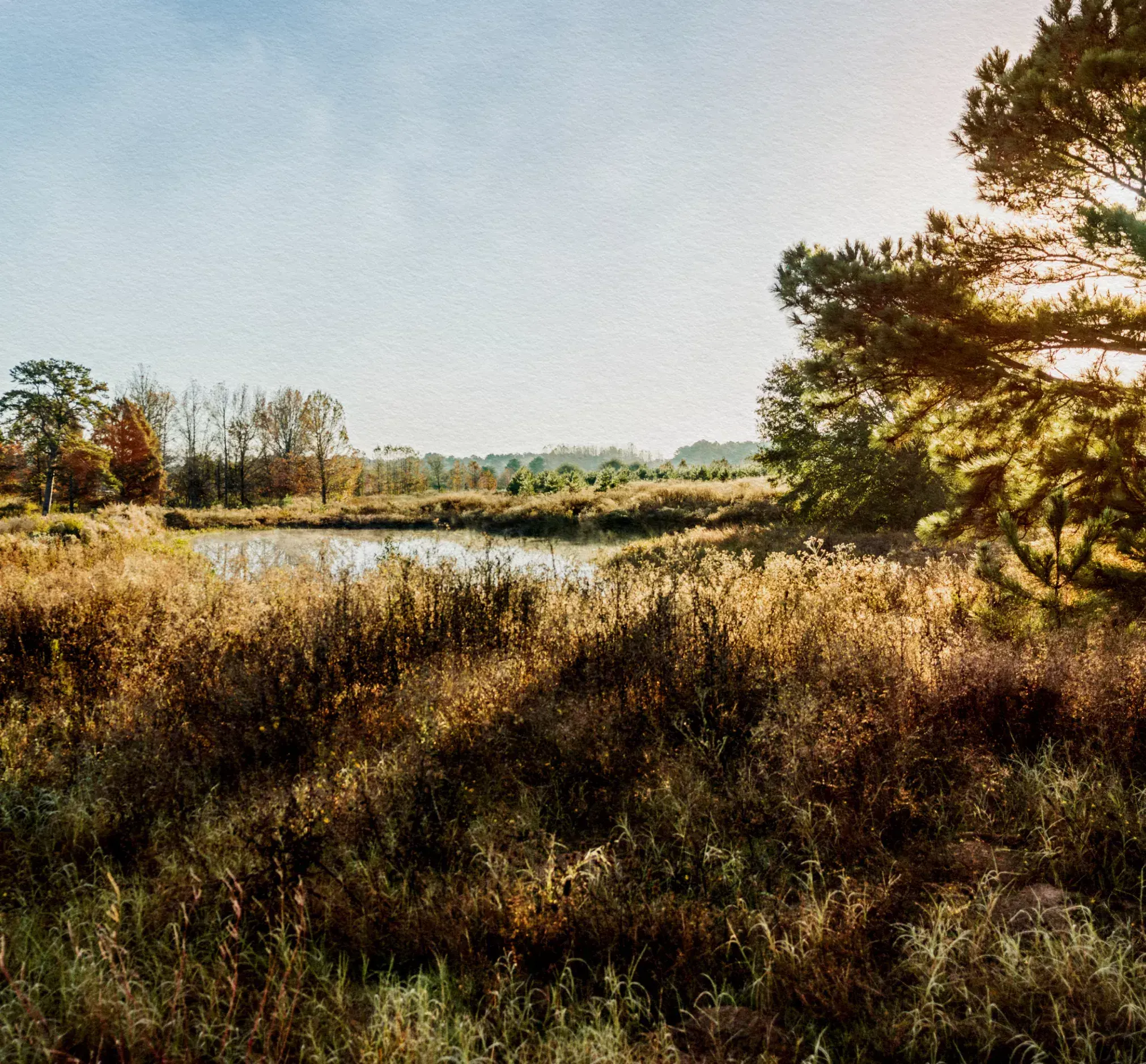 Ozarka Our Springs hero image