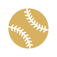 mlb baseball icon