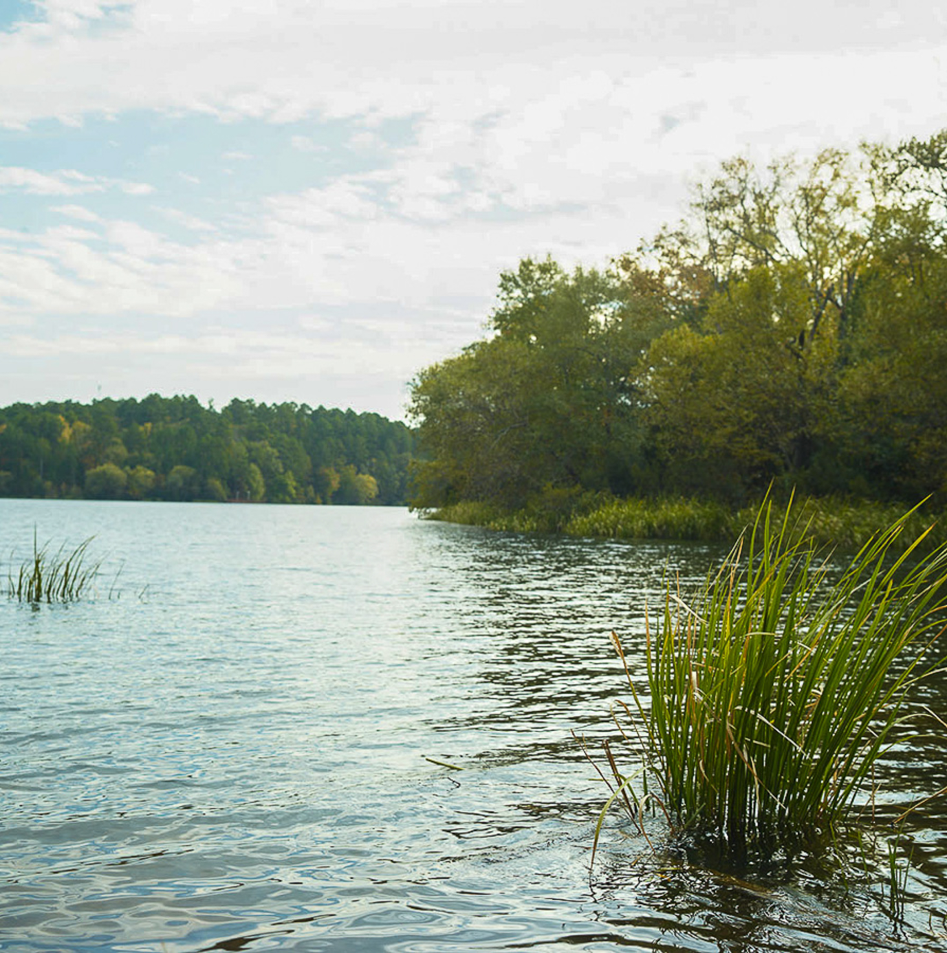 ozarka springs