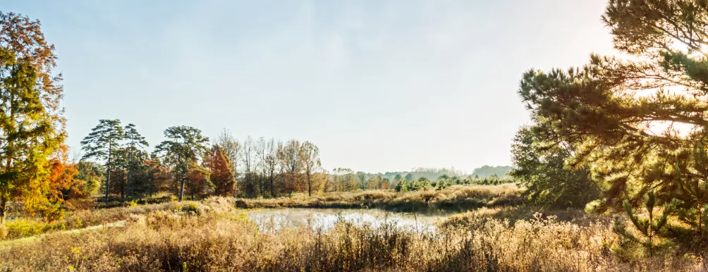 Roher Spring image